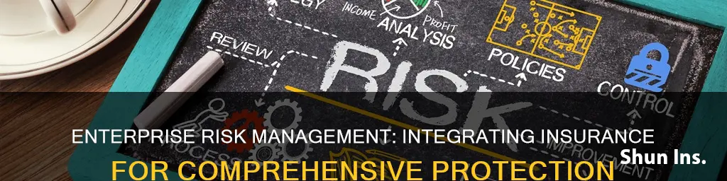 how enterprise risk management interact with other area insurance