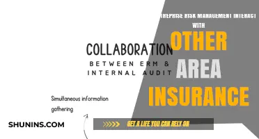 Risk Management: Integrating Insurance for Enterprise-Wide Protection