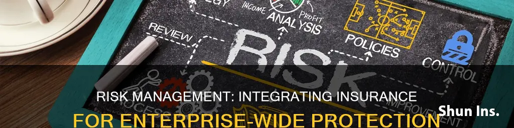 how entreprise risk management interact with other area insurance