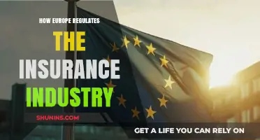 Europe's Insurance Industry: Regulatory Framework and Compliance Insights