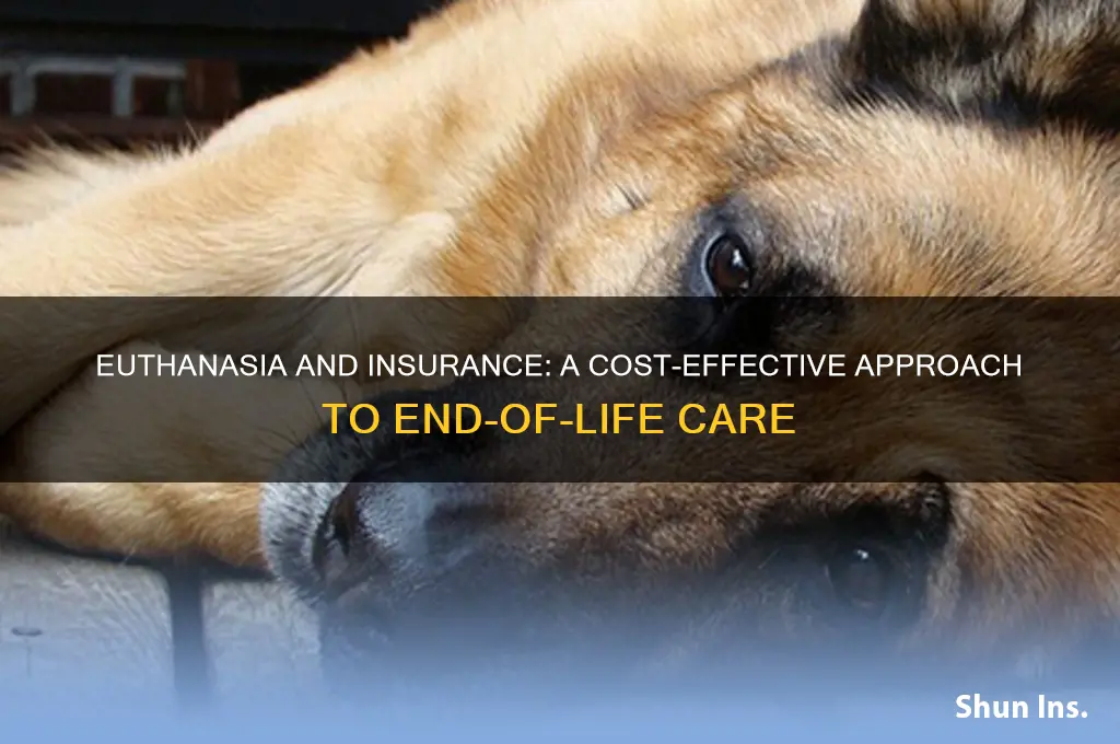 how euthansia woukd help insurance