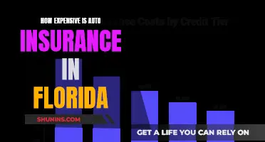 Florida Auto Insurance: Navigating the Cost of Coverage in the Sunshine State