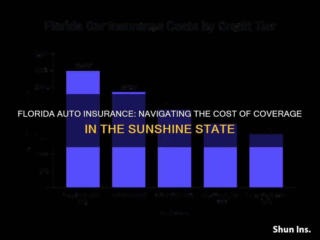 how expensive is auto insurance in Florida