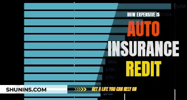 Auto Insurance Premiums: Navigating the Costly Road Ahead