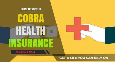 Understanding Cobra Health Insurance Costs: Is It Worth the Expense?