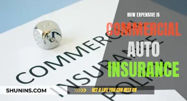 The High Cost of Commercial Auto Insurance: Understanding the Price Tag