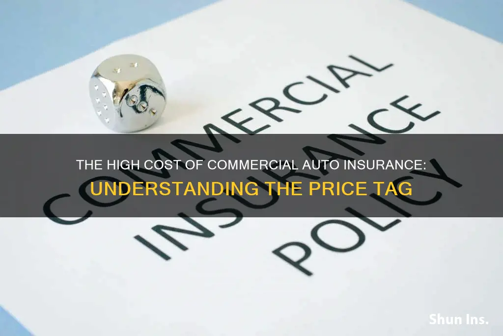 how expensive is commercial auto insurance