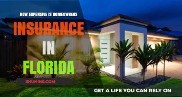 Home Insurance in Florida: Expensive Protection