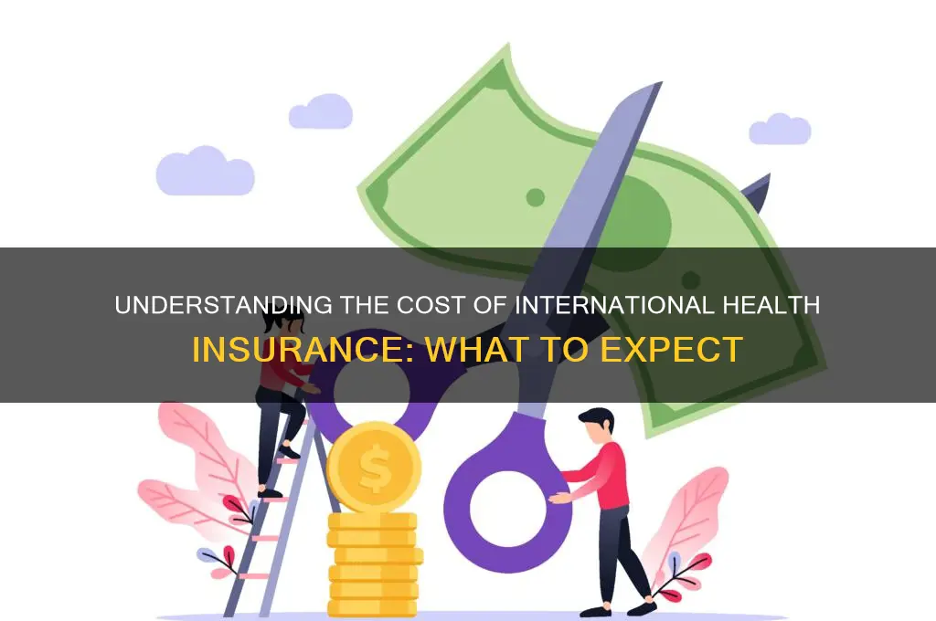 how expensive is international health insurance