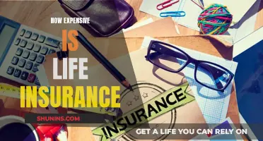 Life Insurance: Expensive or Affordable?