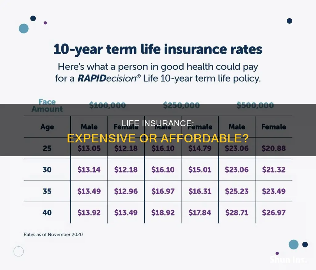 how expensive is life insurance