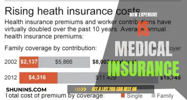 Medical Insurance: The Cost Conundrum