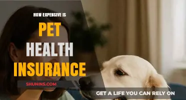 Is Pet Health Insurance Worth the Cost? A Detailed Analysis