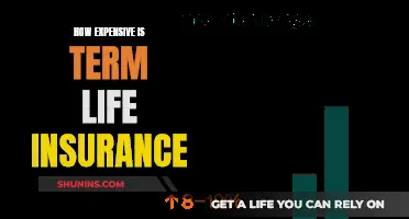 Term Life Insurance: Is It Costly?