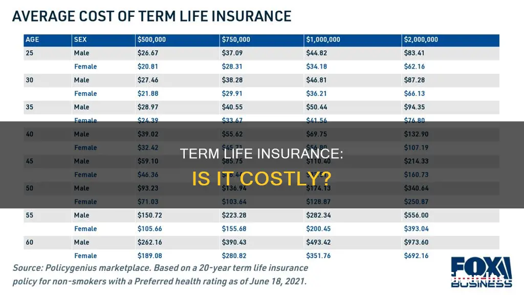 how expensive is term life insurance