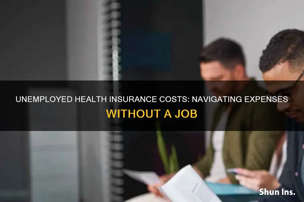 how expensive is unemployed health insurance