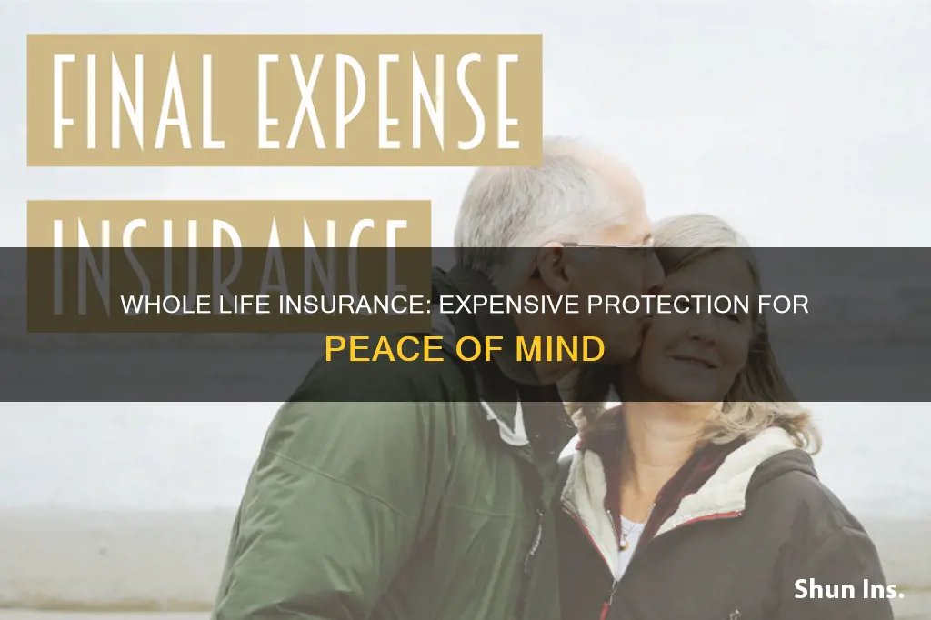 how expensive is whole life insurance