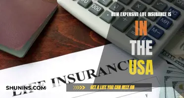 Life Insurance in the USA: Expensive Protection