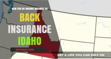 Idaho Driving Records: Insurance History and How Far Back