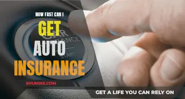 Instant Auto Insurance: Getting Covered in a Flash