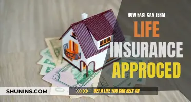 Term Life Insurance: Quick Approval Process Explained