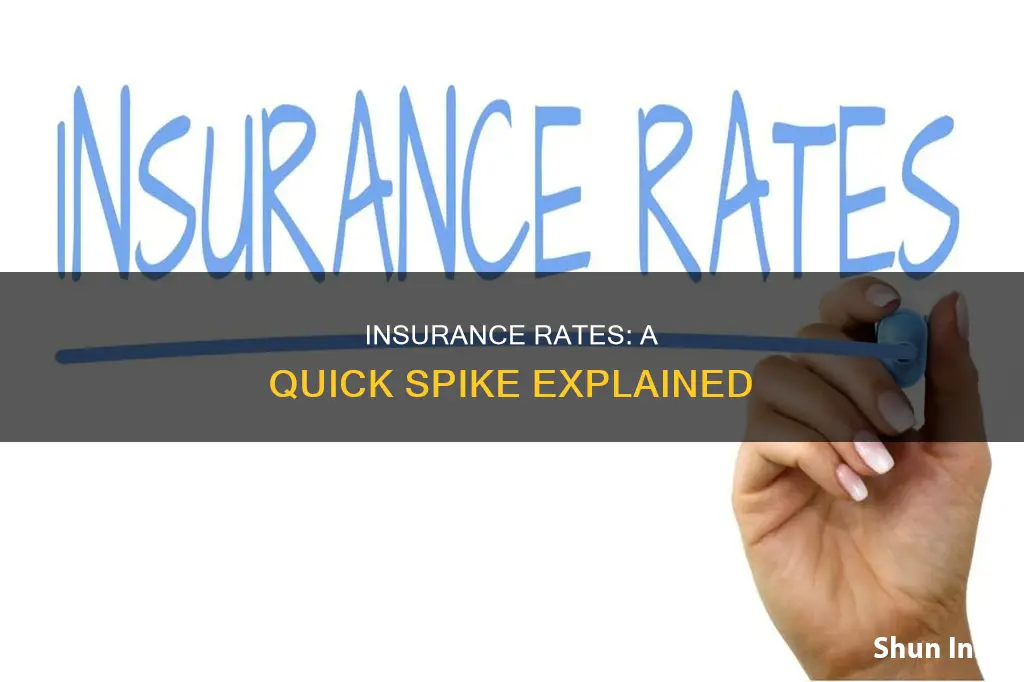 how fast do insurance rates go up