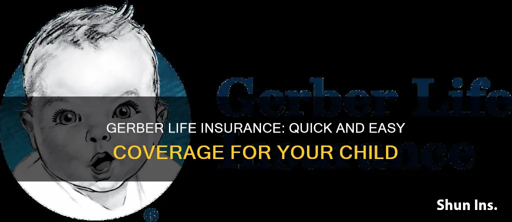 how fast do you get gerber life insurance