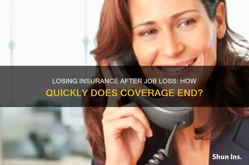how fast do you lose insurance after being fired