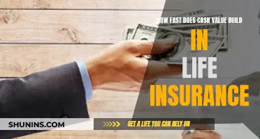 Understanding Life Insurance: Quick Cash Value Build Strategies