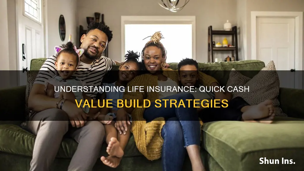 how fast does cash value build in life insurance