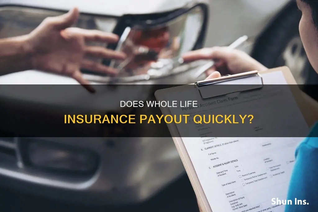 how fast does whole life insurance payout