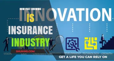 Exploring the Rapid Growth and Future of the Insurance Industry
