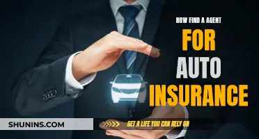 Navigating the Auto Insurance Maze: Finding Your Perfect Agent