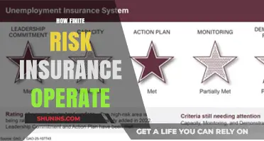 Understanding Finite Risk Insurance: How It Operates