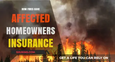 Fires' Impact: Homeowners Insurance Changes and Challenges