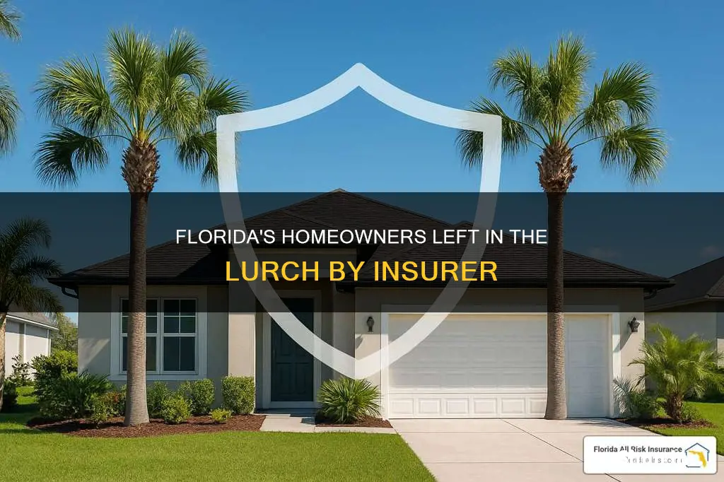 how florida let a top insurer abandon homeowners