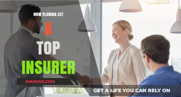 Florida's Oversight: Insurer's Unchecked Power