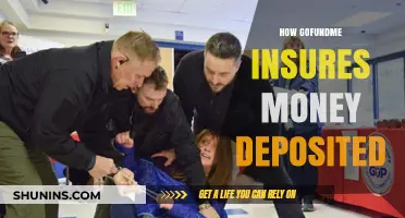 Gofundme: Securely Raising Money for Your Needs