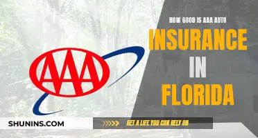 AAA Auto Insurance in Florida: Is It Worth the Hype?