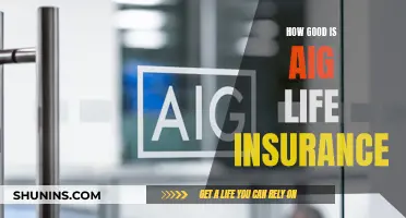 AIG Life Insurance: Is It Worth the Hype?