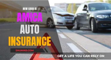 Amica Auto Insurance: Is It Worth the Hype?