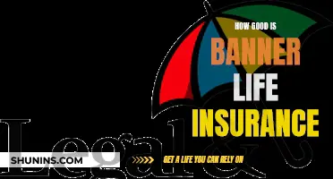 Banner Life Insurance: Is It Worth the Hype?