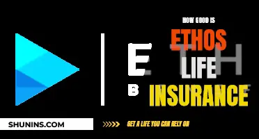 Ethos Life Insurance: Is It Worth the Hype?