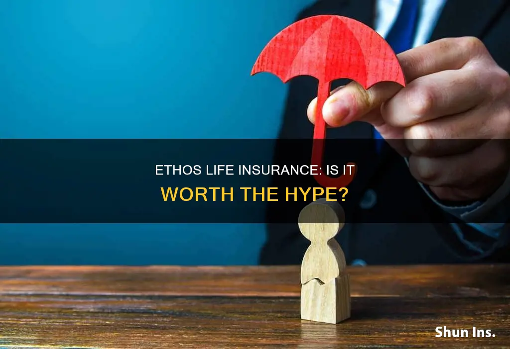 how good is ethos life insurance