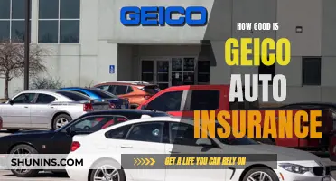 The Surprising Benefits of GEICO Auto Insurance