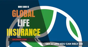 Global Life Insurance: Is It Worth the Hype?