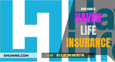 Is Haven Life Insurance Right for You?