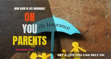 Life Insurance: Protecting Your Future After Your Parents