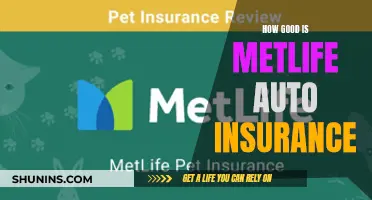 MetLife Auto Insurance: Is It Worth the Hype?