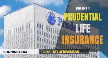 Prudential Life Insurance: Is It Worth the Hype?